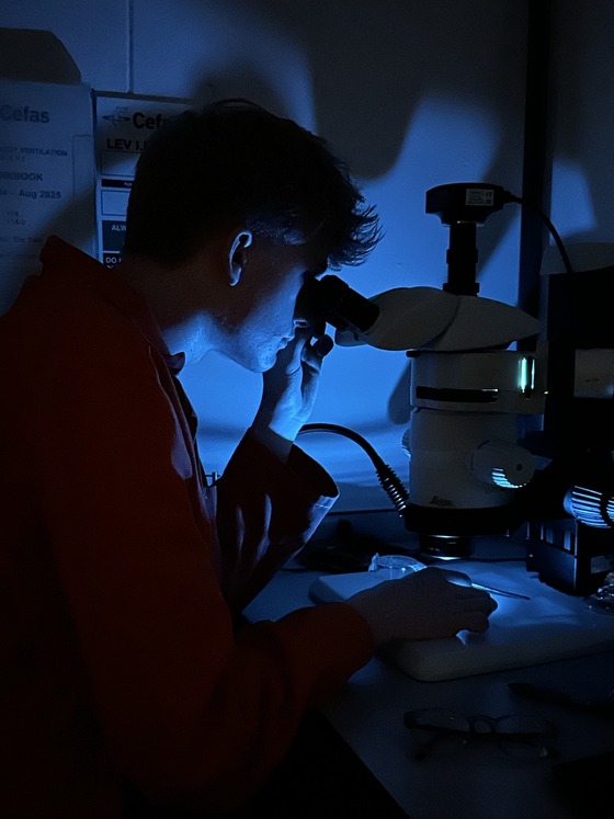 Charlie looking at microplastic under a blue light with a microscope 