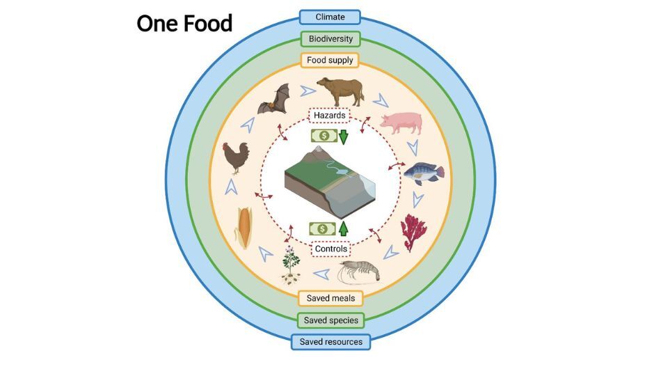 one food logo