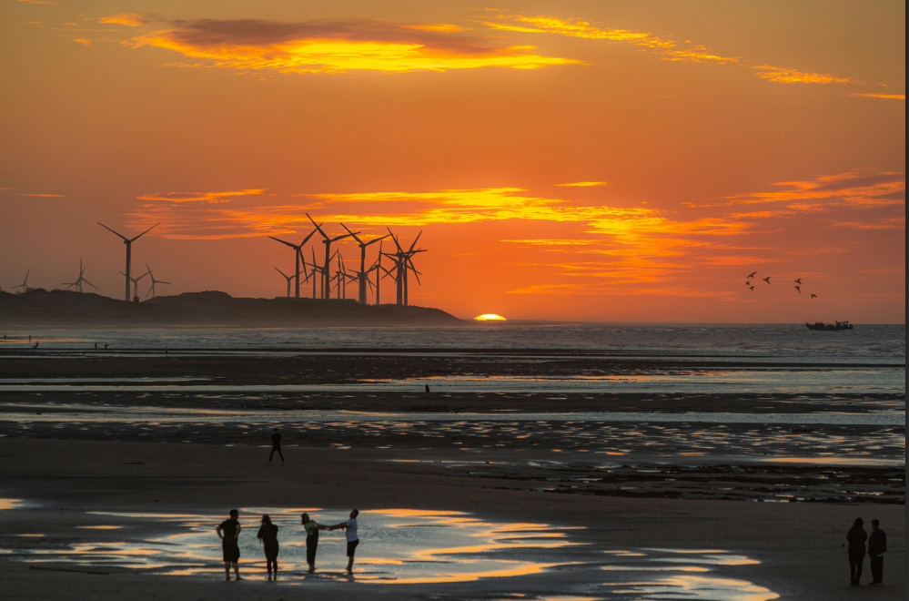 wind farm with sunset 
