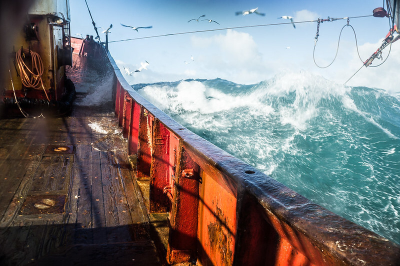 Seabed Carbon Risks: What Our Evidence Shows