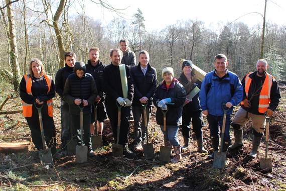 Planting gets underway at Outwoods