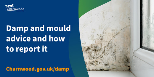 Damp and mould