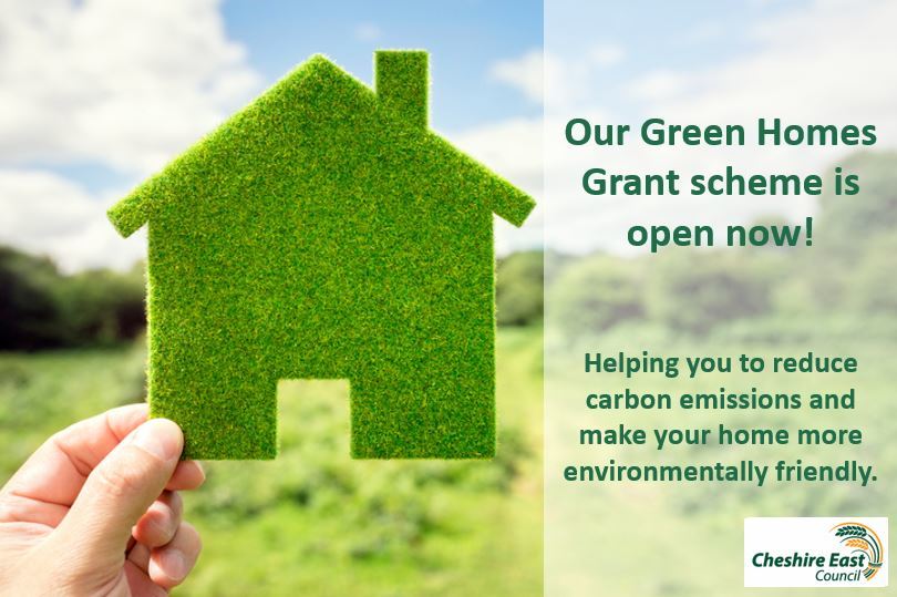 Hand holding a green house