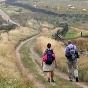 Book tickets for Bitesize Gritstone Trail - Walk 1