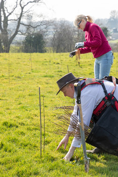 Cllr Abel and Anne planting trees