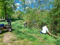 River Bank Management