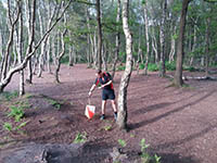 Orienteering for All – Brereton Heath Local Nature Reserve