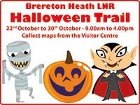 Brereton Heath Local Nature Reserve Halloween Hunt