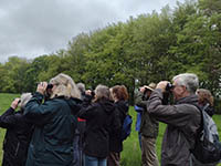 Understanding Spring Birds with Nature Stuff - Tuesdays