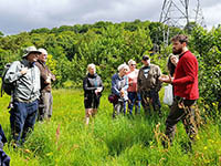Foraging Workshop and Balsam Bashing - Wilmslow