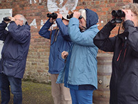 Understanding Autumn Birds with Nature Stuff - Tuesdays