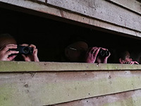 Understanding Autumn Birds with Nature Stuff - Wednesdays