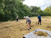 Meadow Management at Rossmill