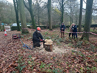 Chainsaw carving at Macclesfield Forest
