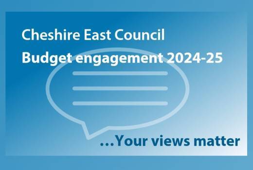 Budget consultation