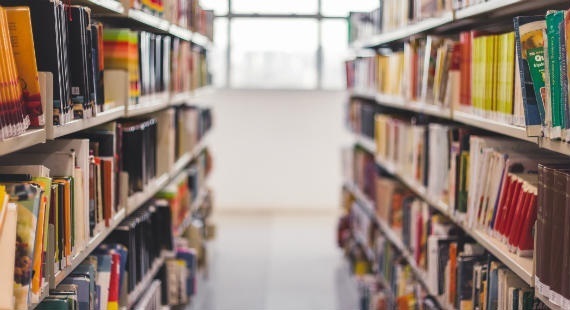 Library book shelves