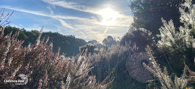 Autumn scene across Lindow Common SSSI in Wilmslow