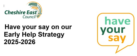 have your say