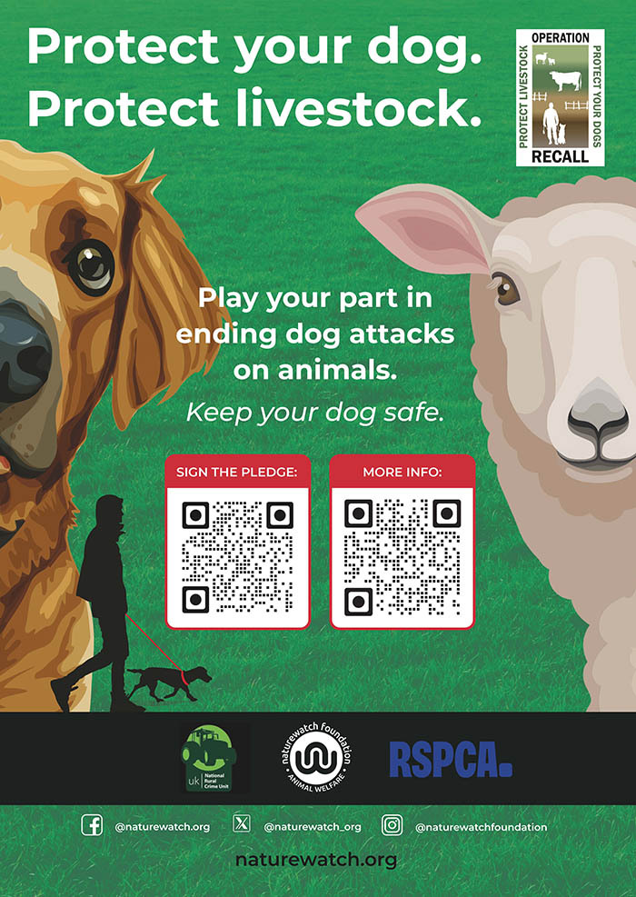 Operation Recall poster