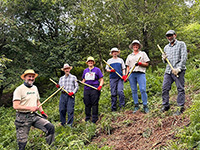 Volunteers holding bracken bashing sticks on a heathland site