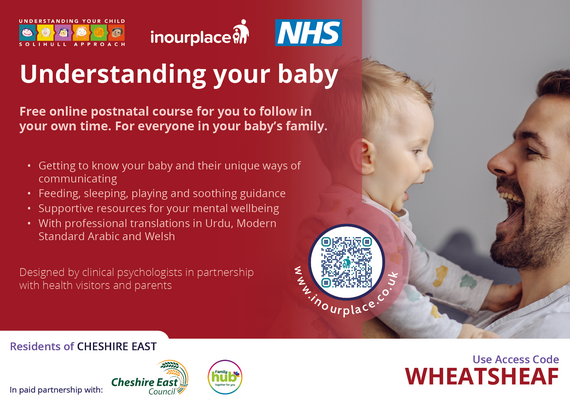 Solihull - understanding baby