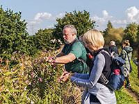 Adults foraging for wild food