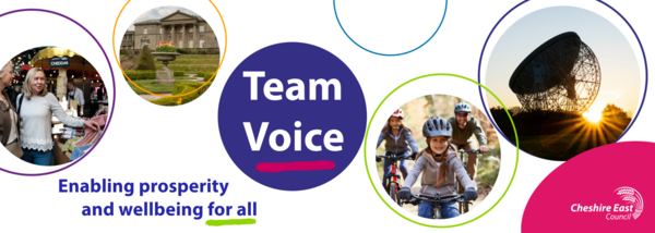 Team Voice masthead 2025