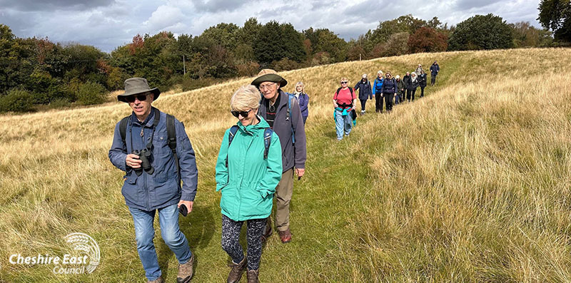 Group of walkers walking towards the camera