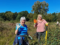 Two volunteers waving at the camera on heathland holding tools