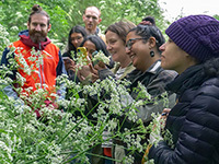 Group of people foraging in green vegetation