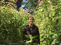 Someone stood in the middle of tall Himalayan balsam plants