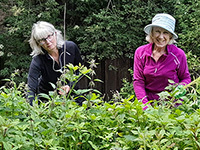 2 volunteers smiling at the camera while pulling Himalayan balsam plants