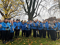 Brass band under a tree in a park