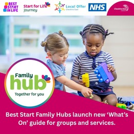 What's on Family Hubs