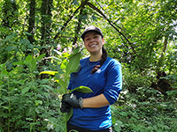 Person holding a Himalayan Balsam plant in a dense green copse 