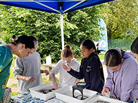 Group of children looking at wildlife trays under a tent