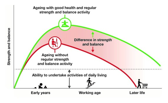 physical activity guidelines