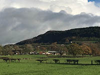 Countryside scene with The Cloud summit in the distance