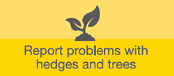Report trees and hedges