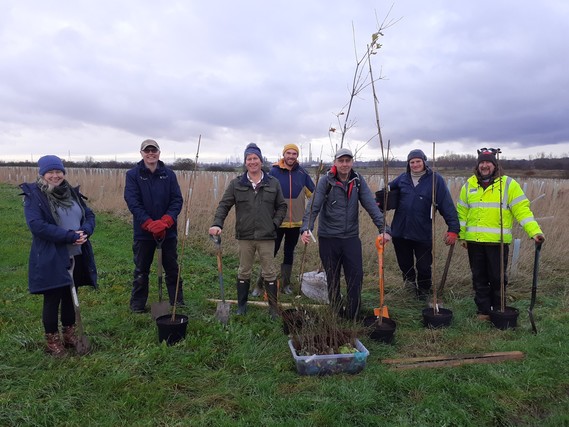 Socially distanced total environment team members in outdoor coats and hats planting a tree