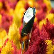 Metal pole with inscription on top reading Birmingham 2022 Queen's Baton relay 