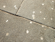 Slabs with chewing gum