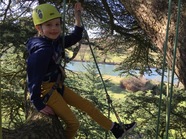 Tree Climbing Workshop