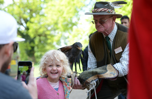 Birds of Prey Display
