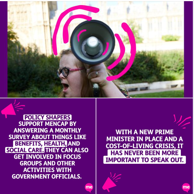 Mencap Policy Shapers Poster