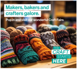 Craft Fair Oct 24