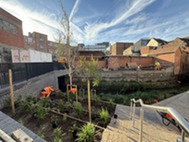 Image of the updated Palmer Lane