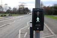 Image of a green man on a puffin crossing