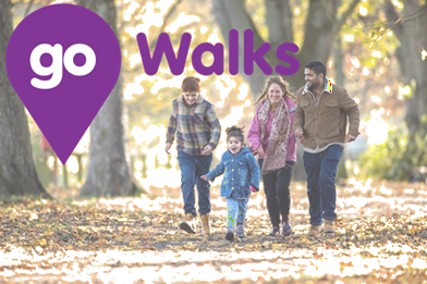 Go Walks
