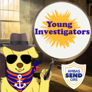 Young Investigators